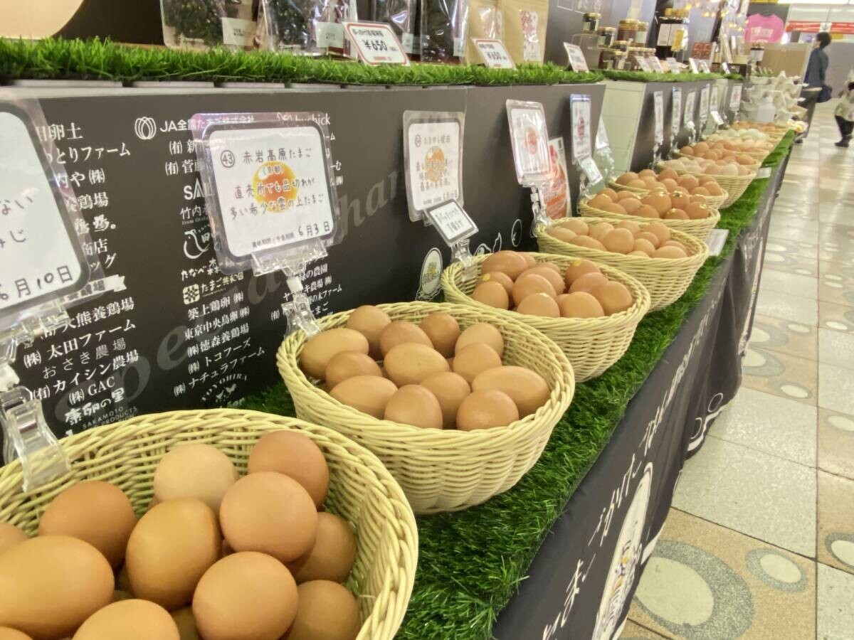 高級たまごを食べ比べ！幻の卵屋さんが8月さいたま・浦和に連続出現！