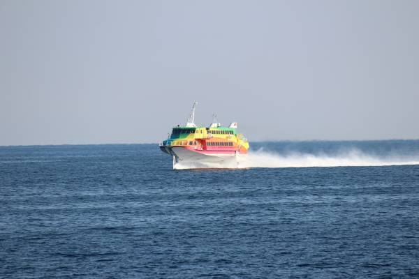 【2月限定の早春の季節便　「稲取港-伊豆大島航路」　が就航します。】