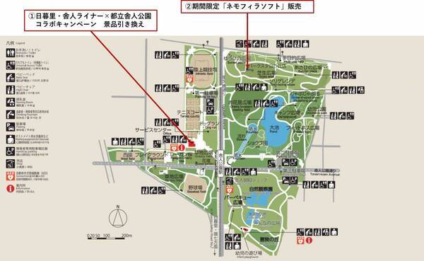 ≪日暮里・舎人ライナーで舎人公園のネモフィラを見に行こう！≫コラボキャンペーンを4/5～開催！