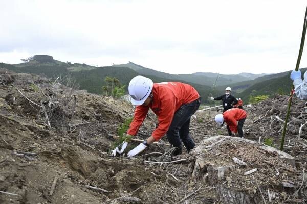 使った分の木を山に還す「苗木を還そうプロジェクト」 宮崎県にスギの再造林費用を寄付