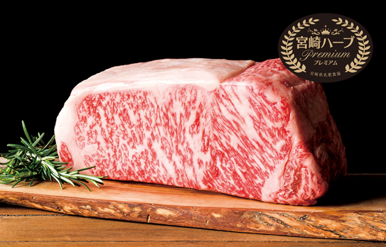 京阪グループ×大阪ブルテオン連携企画 12月7日(土)の大阪ブルテオン ホームゲームを「京阪コラボデー」として開催！