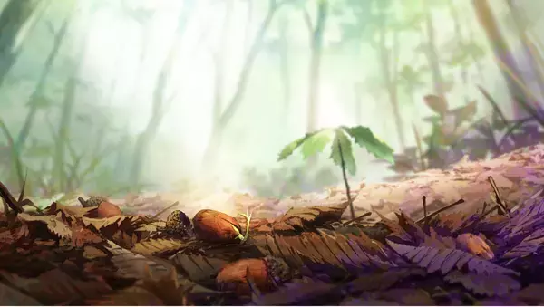 C.W.ニコルメモリアルディ2024  yae追悼ライブ　4月3日（水）20時〜　YouTub配信開始