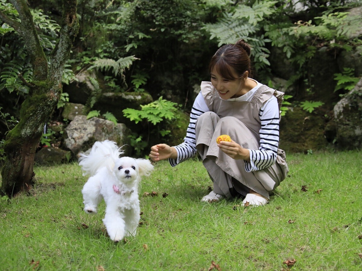 ＜2024年12月17日オープン＞熱海に愛犬と泊まれる温泉リゾートが誕生！ 愛犬と安心ウェルネスな旅が叶う｜2024年10月30日予約受付開始