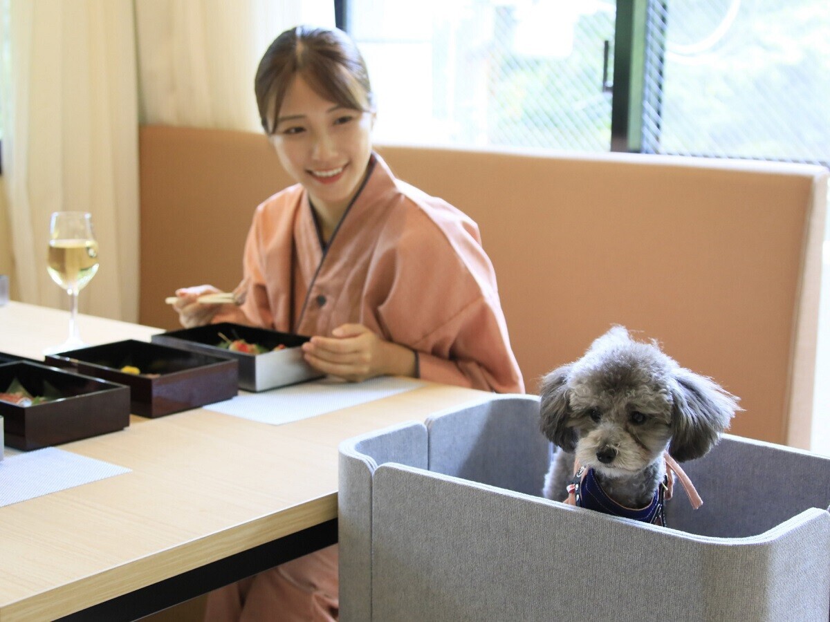 ＜2024年12月17日オープン＞熱海に愛犬と泊まれる温泉リゾートが誕生！ 愛犬と安心ウェルネスな旅が叶う｜2024年10月30日予約受付開始