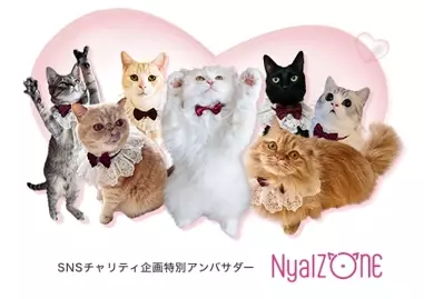 保護猫活動を支援しよう！8月8日世界猫の日にゃんこチャリティプロジェクトスタート。