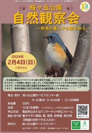 【2024年2月4日（日）開催！】桜ヶ丘公園『自然観察会』