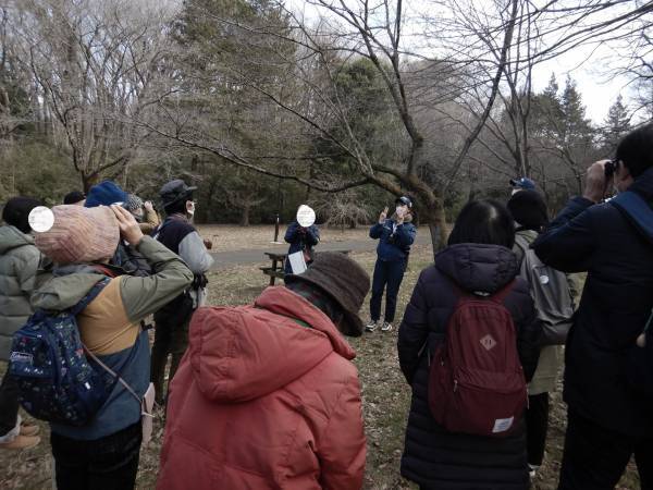 【2024年2月4日（日）開催！】桜ヶ丘公園『自然観察会』
