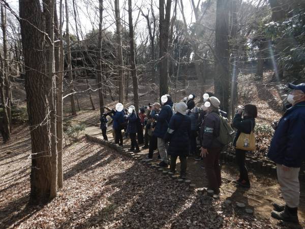 【2024年2月4日（日）開催！】桜ヶ丘公園『自然観察会』