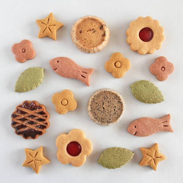 神奈川クッキー大集合！『神奈川クッキーパーティー2024』ニュウマン横浜6階2416MARKETにて開催！【期間】2024年6月22日(土)～23日(日)