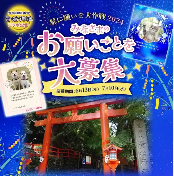 【貴船神社×PEPPY】ペットの願いを星に！ペピイ七夕イベント第１０回開催