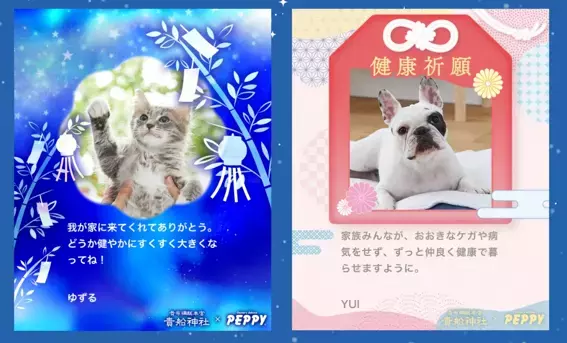 【貴船神社×PEPPY】ペットの願いを星に！ペピイ七夕イベント第１０回開催