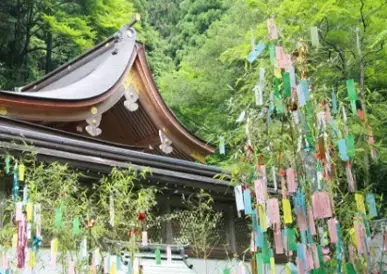 【貴船神社×PEPPY】ペットの願いを星に！ペピイ七夕イベント第１０回開催