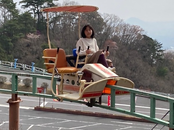 比叡山ドライブウェイの夏の風物詩 「かぶと虫の家」オープン