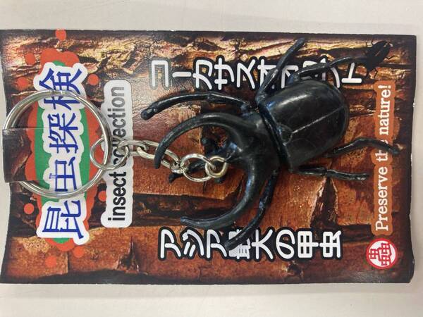 比叡山ドライブウェイの夏の風物詩 「かぶと虫の家」オープン