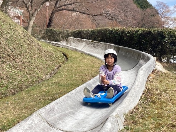 比叡山ドライブウェイの夏の風物詩 「かぶと虫の家」オープン