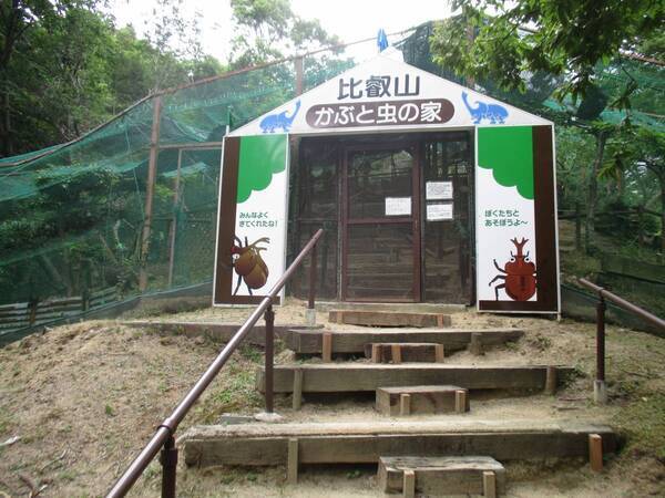 比叡山ドライブウェイの夏の風物詩 「かぶと虫の家」オープン