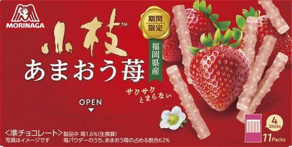 「GiGO×森永製菓 ダースと小枝 キャンペーン」開催のお知らせ