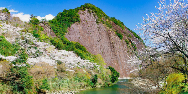 民間ロケット射場、第一号ロケット打ち上げに湧く和歌山県・串本町の温泉宿でまぐろ料理を堪能する 【春のまんぞくバイキング】が3月1日スタート！
