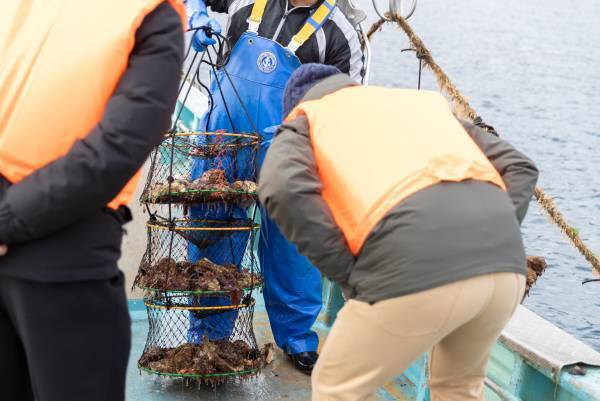 【宮城県・一の坊リゾート】安心、高品質な食材を求めて「Meet-Up TOHOKU ソト活 一の坊™️」宮城県雄勝湾・牡蠣生産者の成澤さんを訪ねました