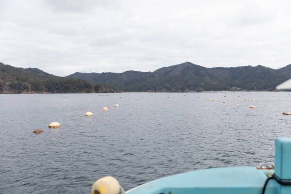 【宮城県・一の坊リゾート】安心、高品質な食材を求めて「Meet-Up TOHOKU ソト活 一の坊™️」宮城県雄勝湾・牡蠣生産者の成澤さんを訪ねました