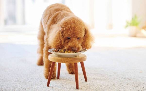 もぐもぐが止まらない！89％以上の愛犬が食いつきアップ【獣医師監修】素材の旨さをそのまま閉じ込めたフリーズドライのトッピング4月25日（木）に新発売！