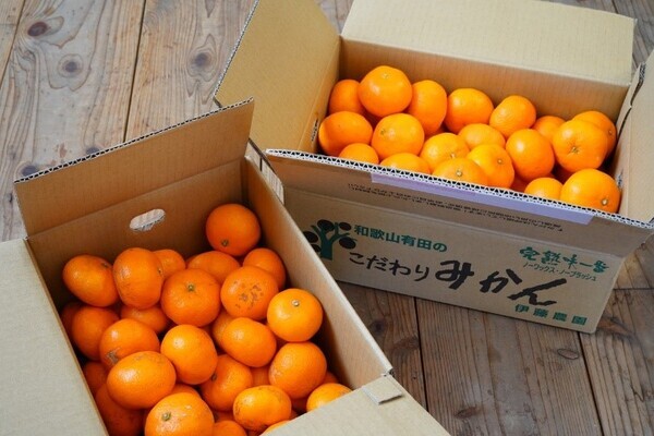 たびふくで今年最も売れたお取り寄せグルメは？！2023年のベストヒットを大発表！【旅する久世福e商店】