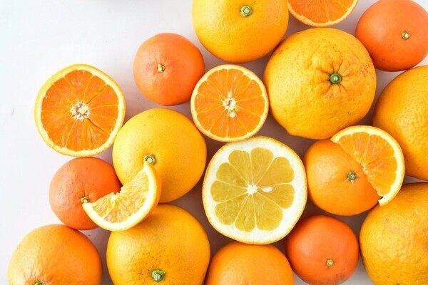 たびふくで今年最も売れたお取り寄せグルメは？！2023年のベストヒットを大発表！【旅する久世福e商店】