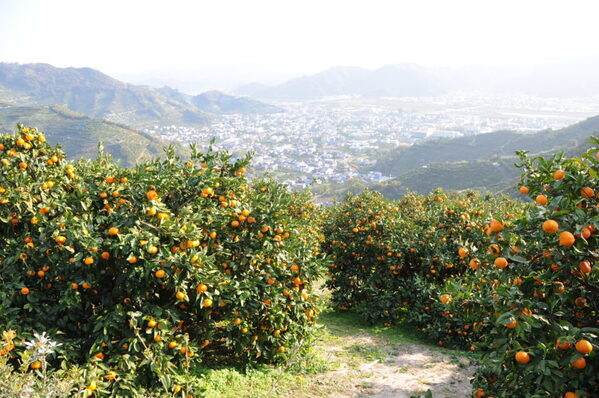 たびふくで今年最も売れたお取り寄せグルメは？！2023年のベストヒットを大発表！【旅する久世福e商店】