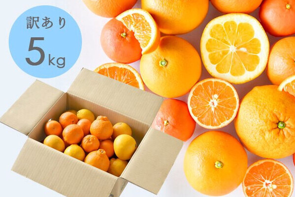 たびふくで今年最も売れたお取り寄せグルメは？！2023年のベストヒットを大発表！【旅する久世福e商店】