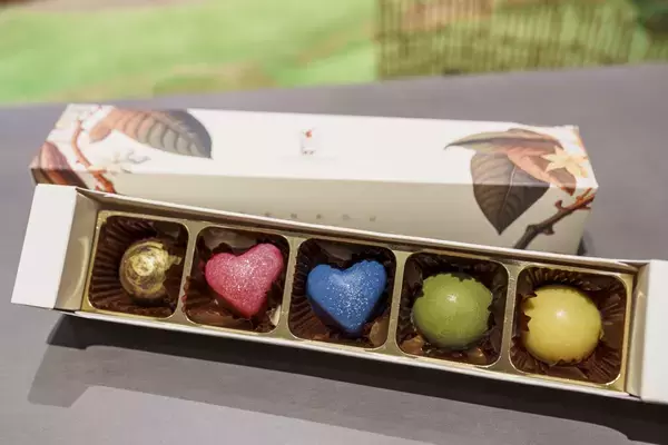 淡路島西海岸「Ladybird Road」で楽しむ本格イタリアンが登場！ 「Sole」手作りピザ、「Cafetta」イタリアンドルチェを12月12日より提供開始！