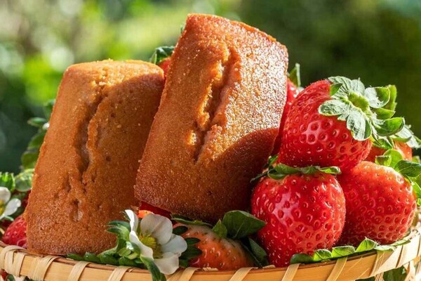 ＼春のたび福袋／３/９(土)発売決定！旬の柑橘や極上いちごタルト、希少な北海道チーズもお得に！【旅する久世福e商店】