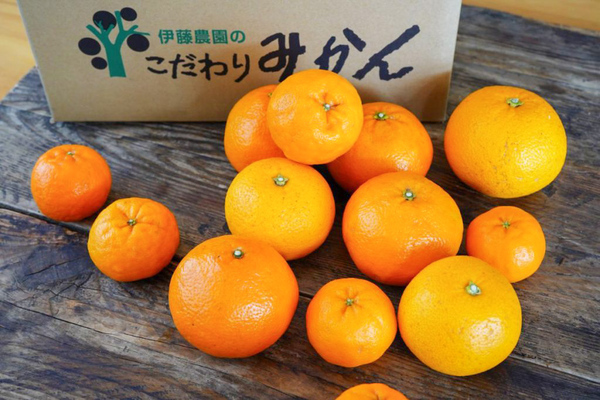 ＼春のたび福袋／３/９(土)発売決定！旬の柑橘や極上いちごタルト、希少な北海道チーズもお得に！【旅する久世福e商店】