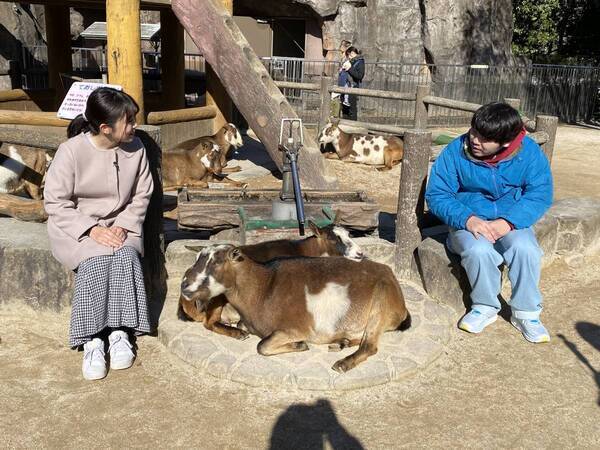 【広島ホームテレビ】「教えちゃうZOO！～ほのぼの動物園の楽しみ方～」いよいよ今週放送！