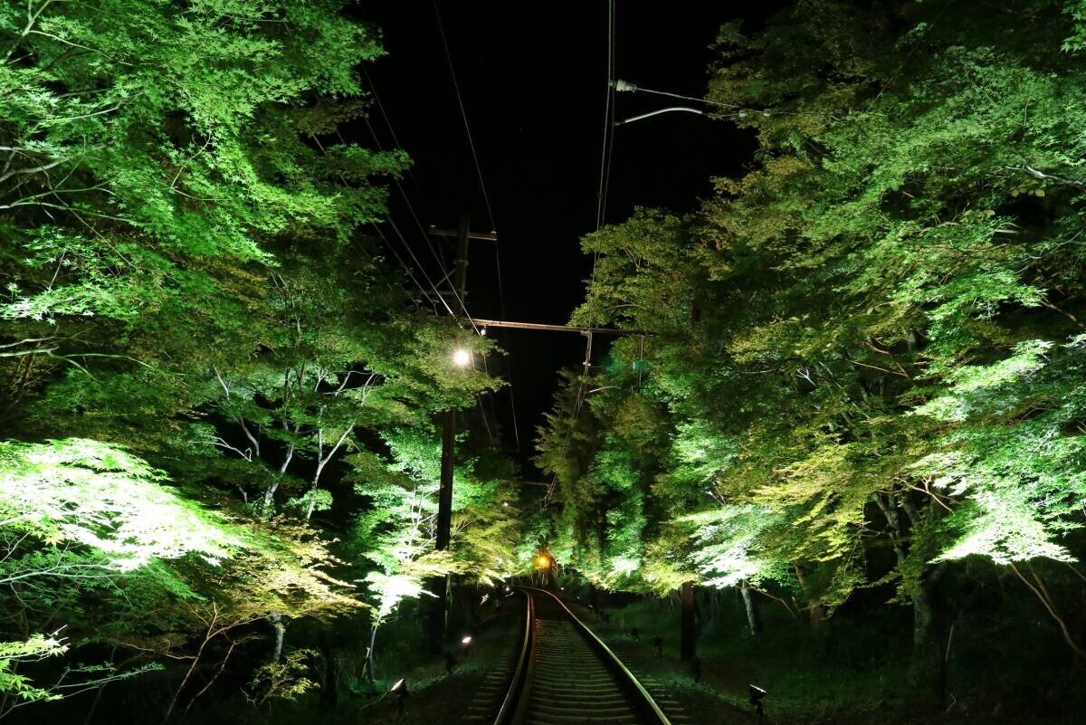 ～ みなさまの願いが伝わりますように ～ 「七夕伝車(でんしゃ)」の運行、「青もみじのライトアップ」を実施します