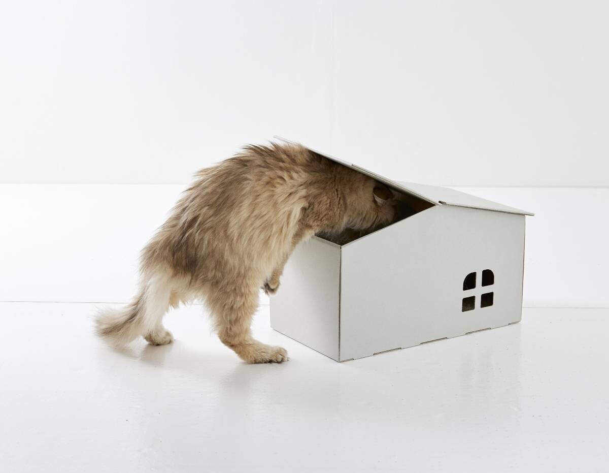 猫には隠れ家が必要である…【究極の猫の隠れ家】が2月15日（木）発売！猫様だけの小さな秘密基地をおうちに設置してあげよう。