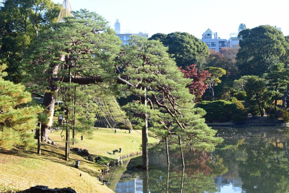 ≪和歌の浦 1300年記念≫和歌の庭 六義園で「書写体験」を実施いたします（10/14）