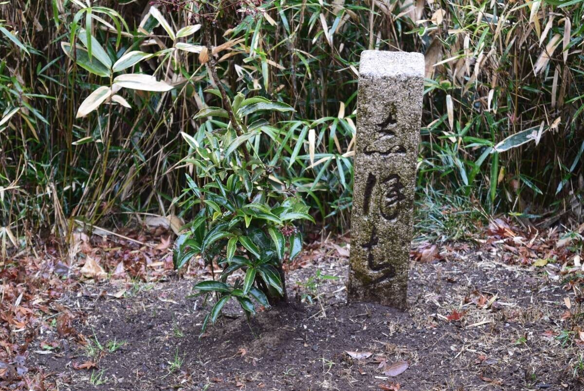 ≪和歌の浦 1300年記念≫和歌の庭 六義園で「書写体験」を実施いたします（10/14）