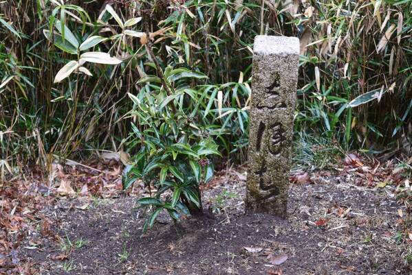 ≪和歌の浦 1300年記念≫和歌の庭 六義園で「書写体験」を実施いたします（10/14）