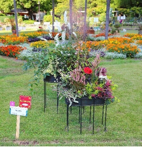 「第22回日比谷公園ガーデニングショー2024」開催決定！令和6年10月19日(土)～10月27日(日)