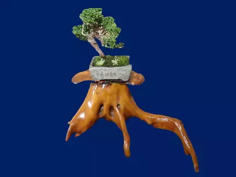 殿ヶ谷戸庭園で新緑を楽しむ特別イベント「ようこそ！初夏の別荘庭園へ」を開催！