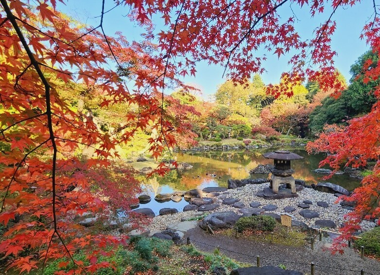 旧古河庭園 ≪彩り鮮やかな秋の庭≫「紅葉とバラ、和と洋の秋」を11/9（土）から開催