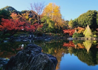 旧古河庭園 ≪彩り鮮やかな秋の庭≫「紅葉とバラ、和と洋の秋」を11/9（土）から開催