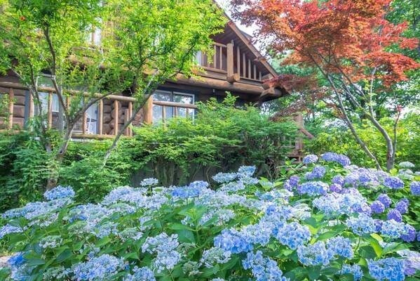 【ロッジ舞洲】自然が織りなすアート、色鮮やかなあじさい＆ユリの競演！5月25日から大阪ベイエリアの「ホテル・ロッジ舞洲」でガーデンフェア2024（旧・あじさい展）開催！