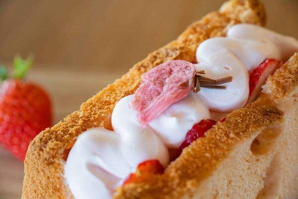 【BBQ&Co】ピクニック感覚で楽しむ、桜×デザートでキュン♡さくら名所100選の明石公園カフェ&レストラン「TTT」、特別プランで春の優雅なひとときを