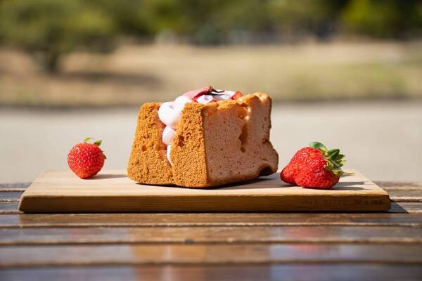 【BBQ&Co】ピクニック感覚で楽しむ、桜×デザートでキュン♡さくら名所100選の明石公園カフェ&レストラン「TTT」、特別プランで春の優雅なひとときを