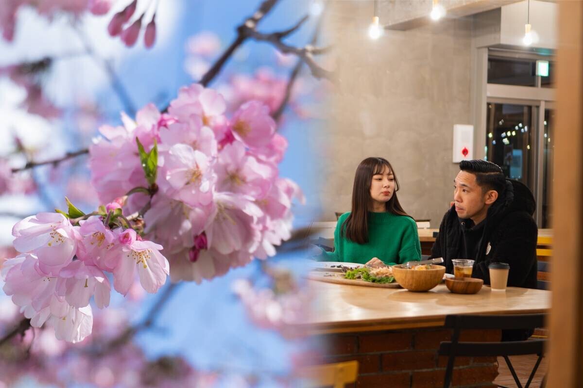 【BBQ&amp;Co】ピクニック感覚で楽しむ、桜×デザートでキュン♡さくら名所100選の明石公園カフェ&amp;レストラン「TTT」、特別プランで春の優雅なひとときを