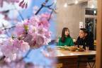 【BBQ&Co】ピクニック感覚で楽しむ、桜×デザートでキュン♡さくら名所100選の明石公園カフェ&レストラン「TTT」、特別プランで春の優雅なひとときを