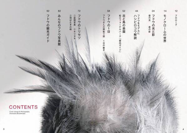 松江の“アイドルハシビロコウ”フドウの魅力に迫る『ハシビロコウのフドウ PHOTOBOOK』3月19日刊行