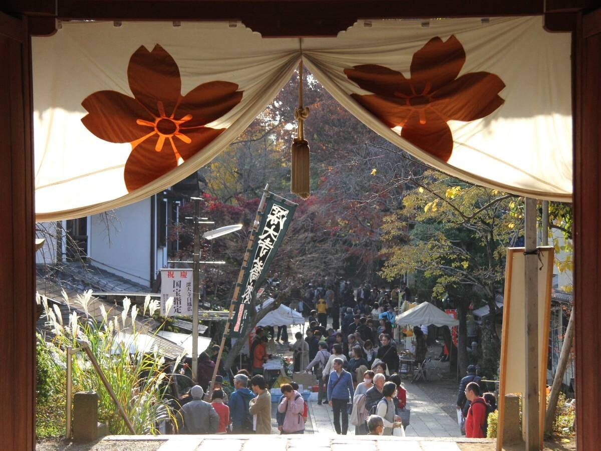 自然に囲まれた広場で贅沢な休日！神代植物公園「芝生でピクニック」11月23日(土)開催