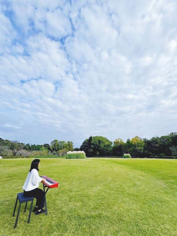 自然に囲まれた広場で贅沢な休日！神代植物公園「芝生でピクニック」11月23日(土)開催